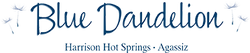 Blue Dandelion Stores