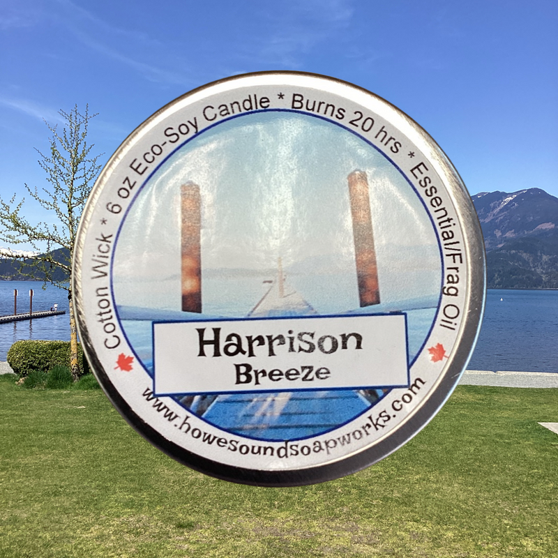 Harrison Hot Springs Dock mug and items