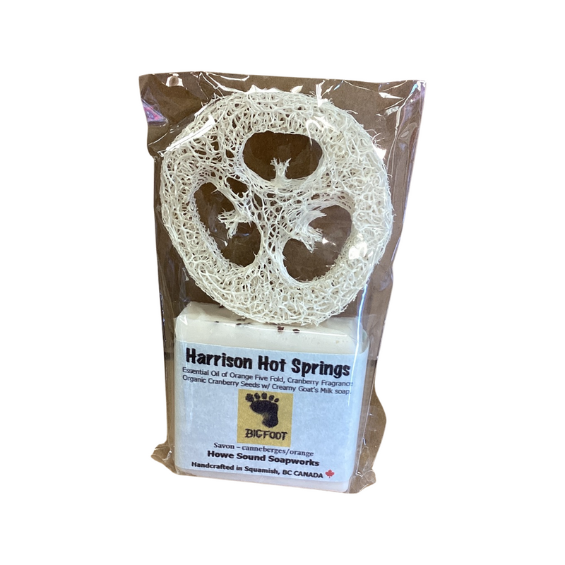 Harrison Hot Springs mug and items