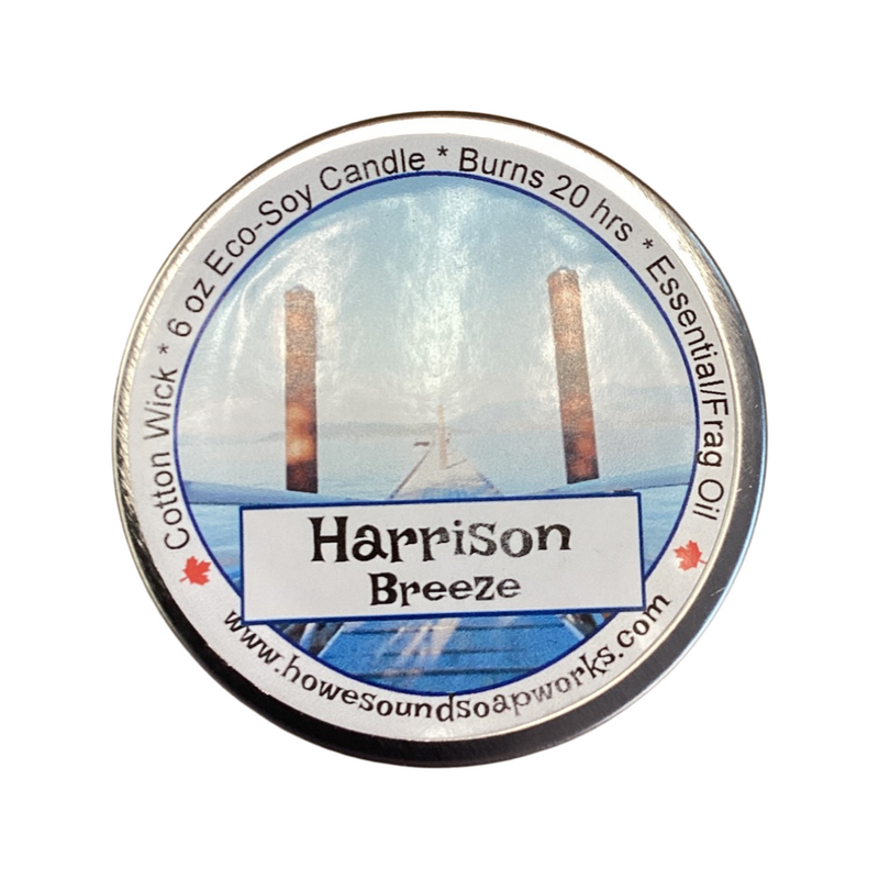Harrison Hot Springs Dock mug and items