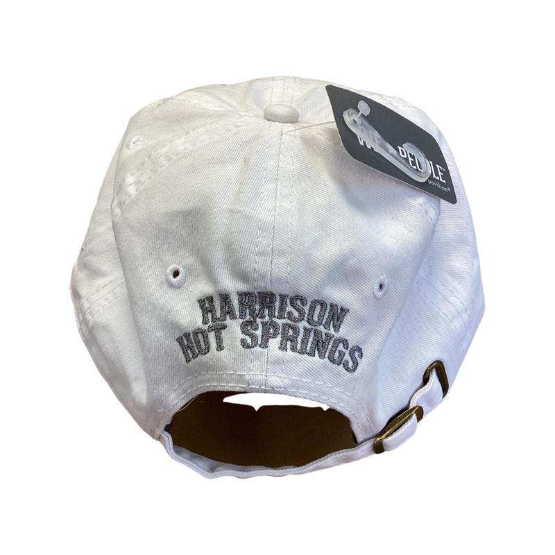 Harrison Hot Springs mug and items