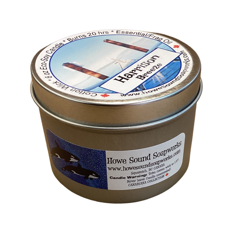 Harrison Hot Springs Dock mug and items