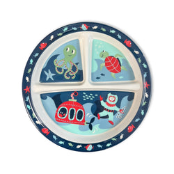 Divided Suction Plate | Ocean