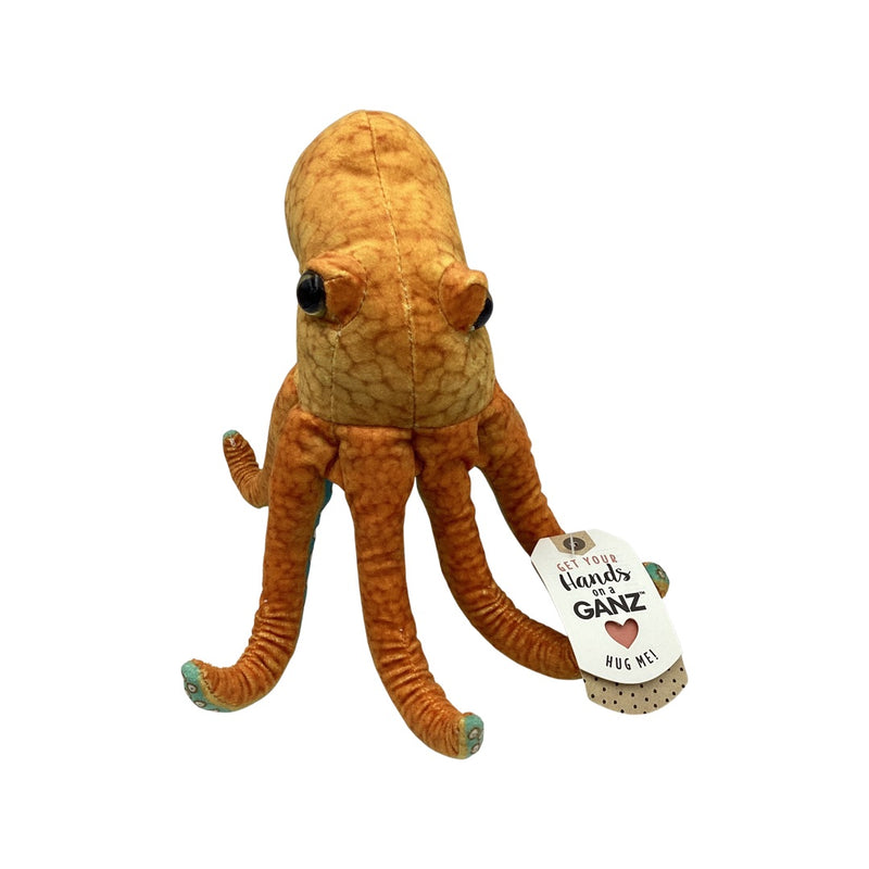 Seaside Octopus