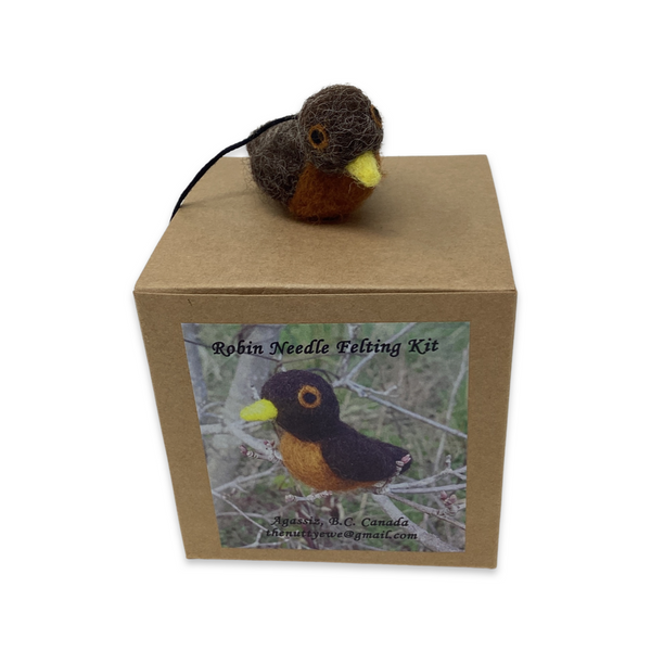 Felting kit- Robin