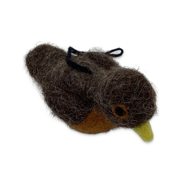 Felting kit- Robin