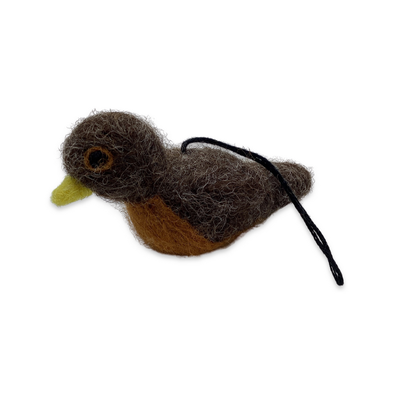 Felting kit- Robin
