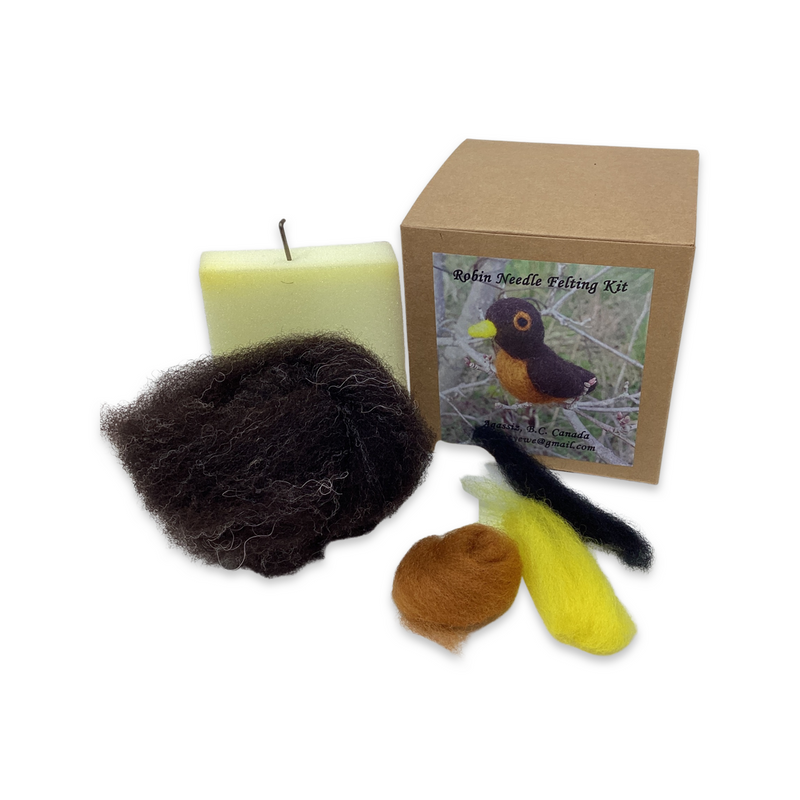 Felting kit- Robin